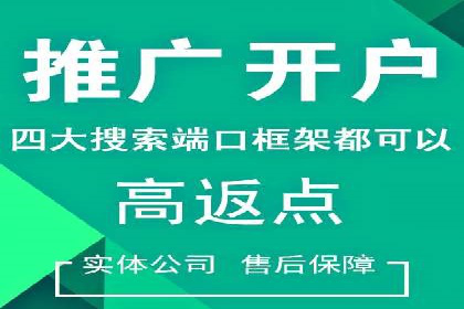 SEM推广案例：电商流量提升策略